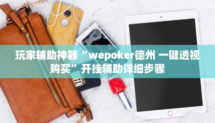 玩家辅助神器“wepoker德州 一键透视购买”开挂辅助详细步骤