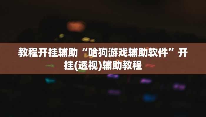 教程开挂辅助“哈狗游戏辅助软件”开挂(透视)辅助教程