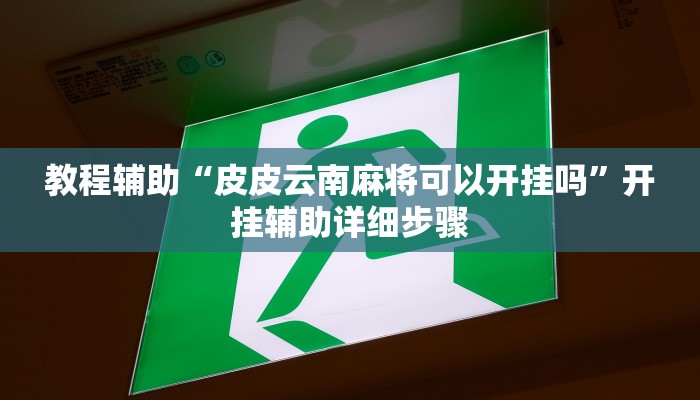 教程辅助“皮皮云南麻将可以开挂吗”开挂辅助详细步骤