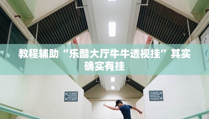 教程辅助“乐酷大厅牛牛透视挂”其实确实有挂