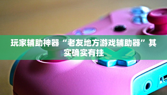玩家辅助神器“老友地方游戏辅助器”其实确实有挂