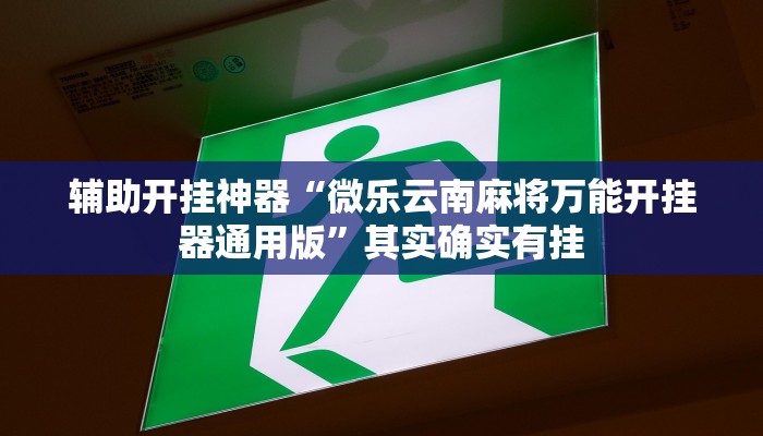 辅助开挂神器“微乐云南麻将万能开挂器通用版”其实确实有挂